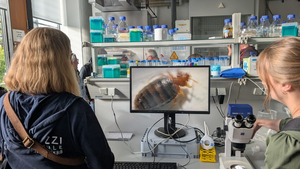 Bettwanze unter dem Binokular im Labor bei Dr. Oliver Otti