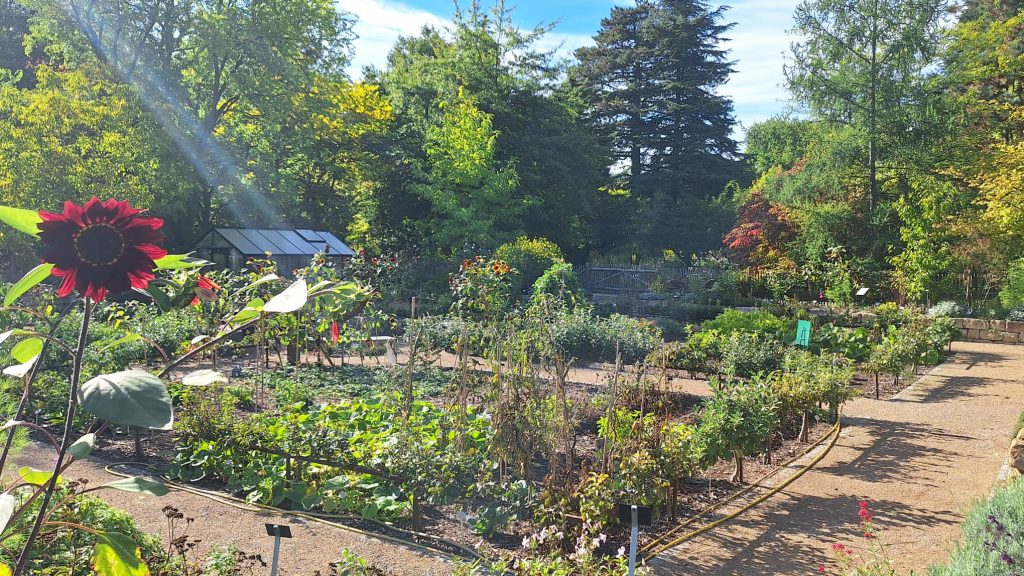 Botanischer Lehr- und Lerngarten der TU Dresden