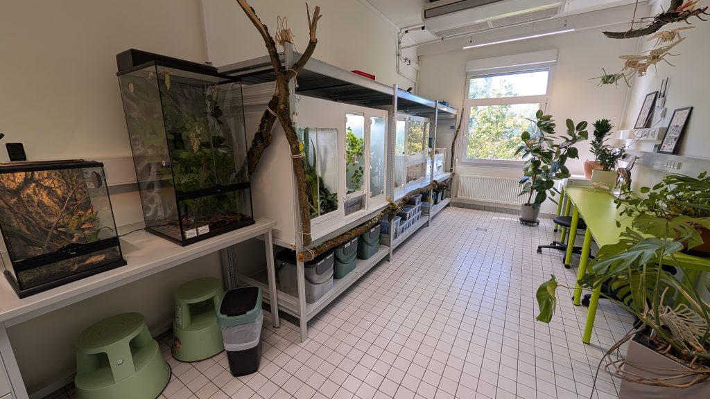 Einblick in den Wirbellosenraum der Biologiedidaktik an der TU Dresden